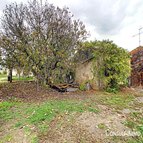 Offres de vente Maison Braud-et-Saint-Louis 33820