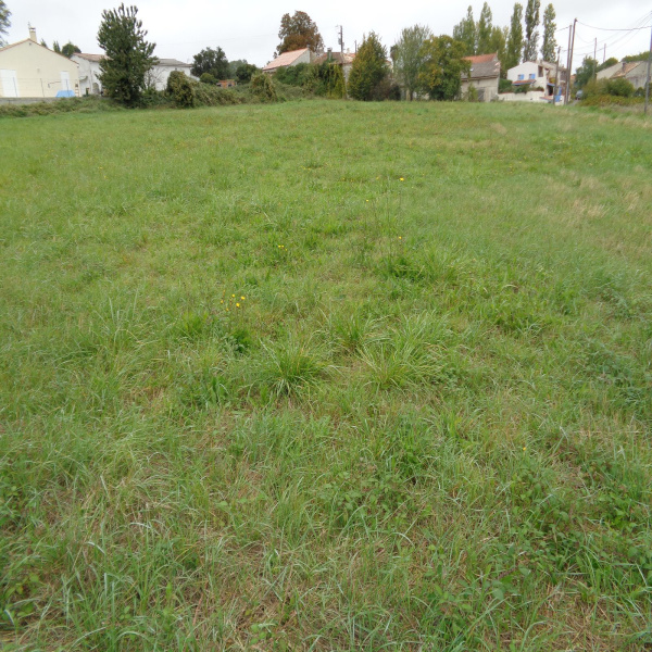 Offres de vente Terrain Saint-Georges-des-Agoûts 17150